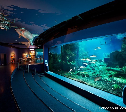 水族馆方案,水族馆设计方案